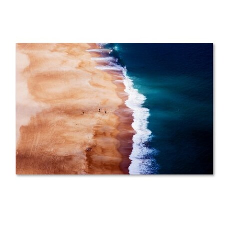 Trademark Fine Art cbomersphotography 'Silver Coast' Canvas Art, 16x24 1X00573-C1624GG